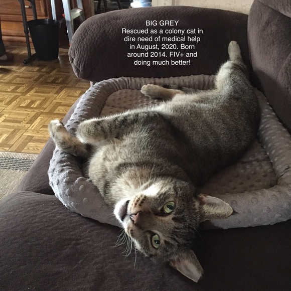 Meet your Posher, Andrea - Picture 3 of 7